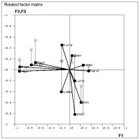 Rotated factor matrix as a scatter plot